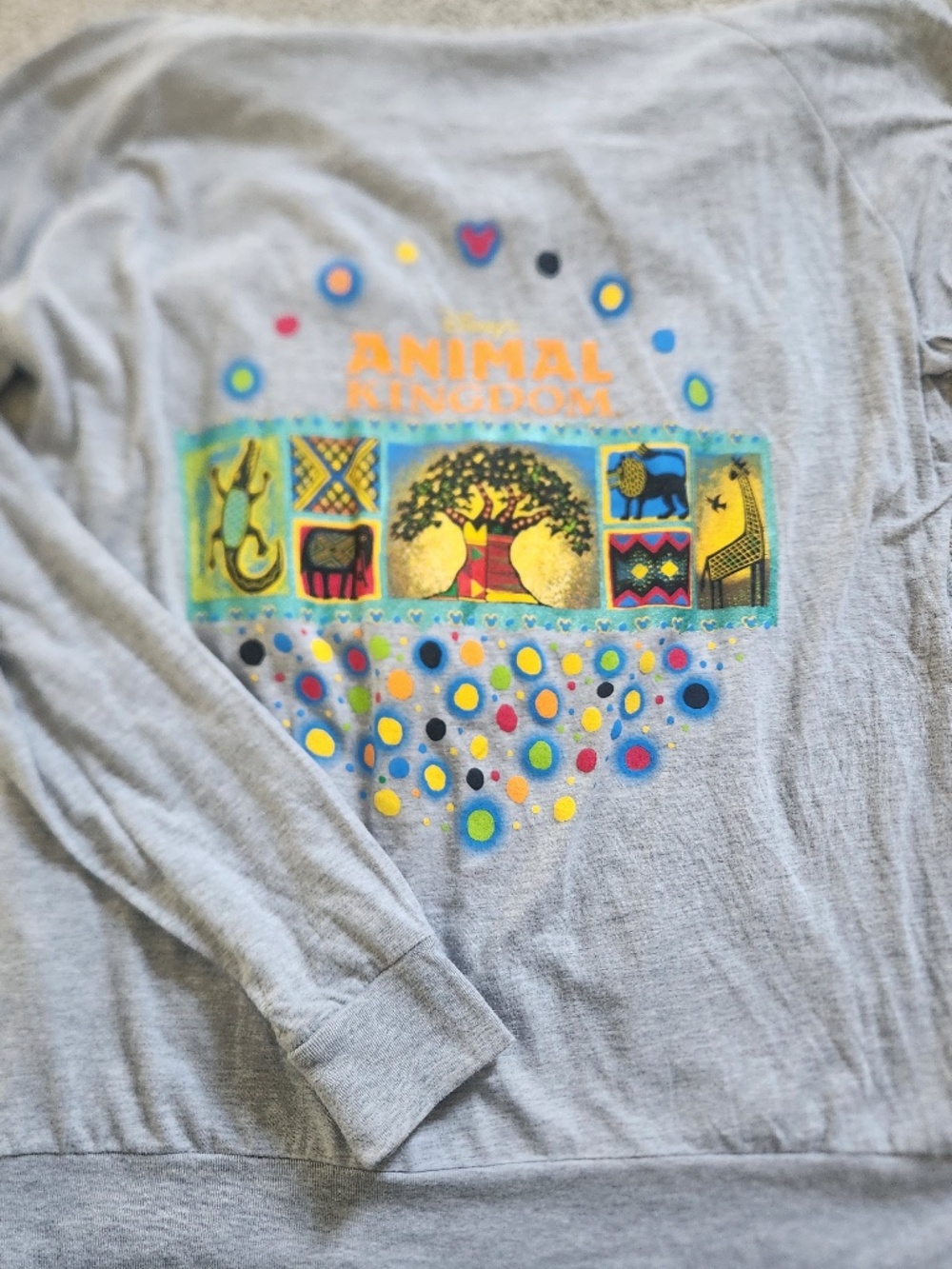 Disney Grey Animal Kingdom Hoodie